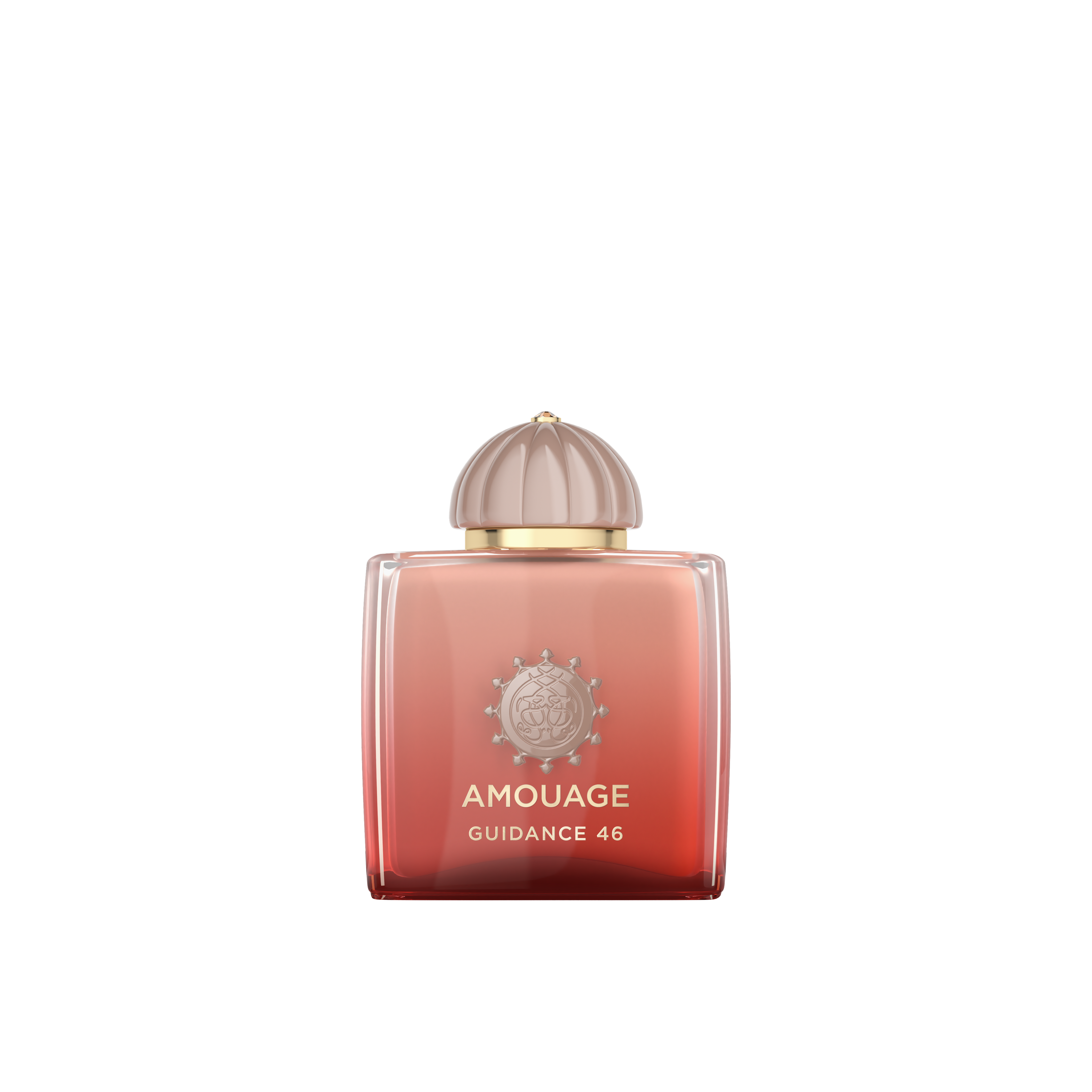 Guidance 46 - 100ml